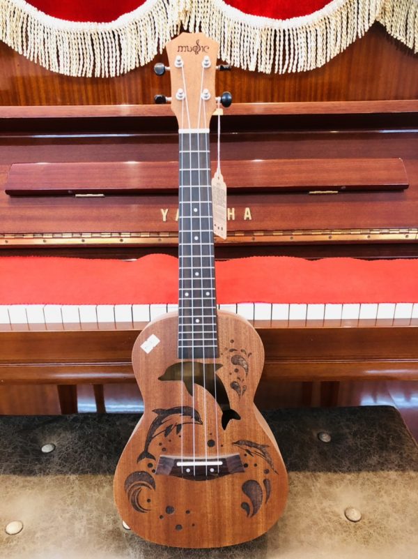 Ukulele Concert Cá mập