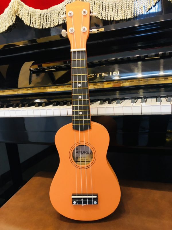 Ukulele Soprano Cam