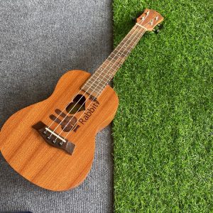 Ukulele Concert BWS Trái tim mèo