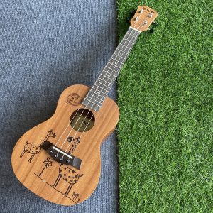 Ukulele Concert BWS Hình hưu cao cổ