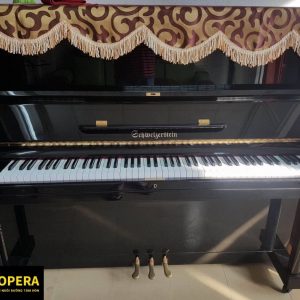 Piano Schmeigerstein