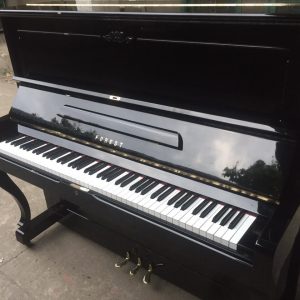 Piano Rolex