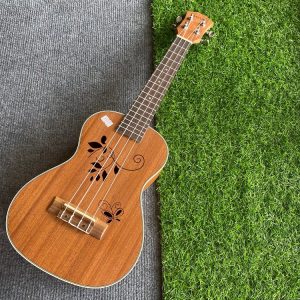 Ukulele Concert BWS hình hoa