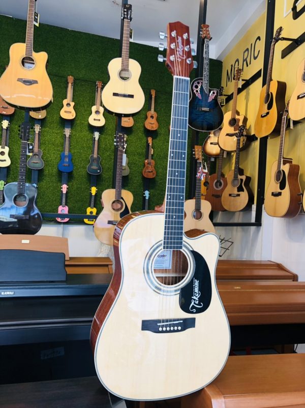 Guitar Takimine D21C