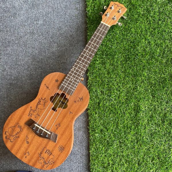 Ukulele Concert BWS Hình con lừa