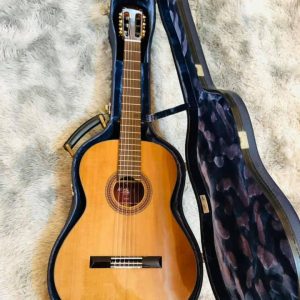 Guitar Classic Martinez MC48