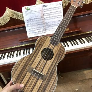 Ukulele Concert Sọc