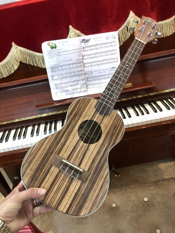 Ukulele Concert Sọc