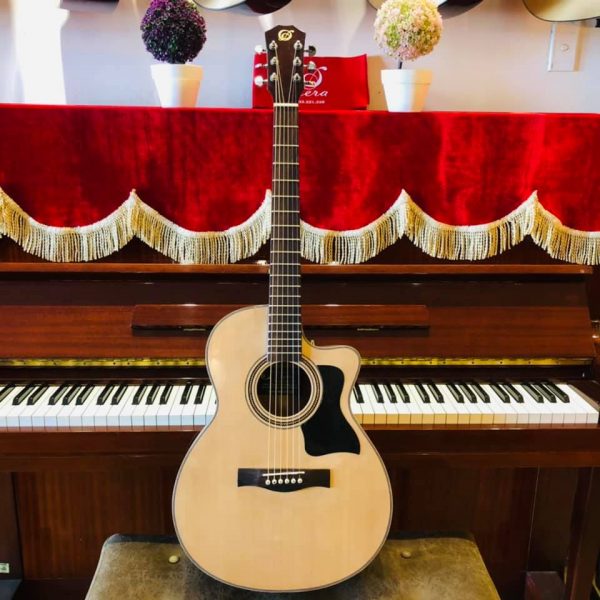 Guitar Opera OA220