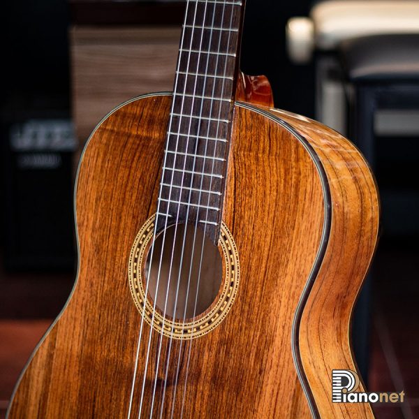 Guitar Opera Classic OC230