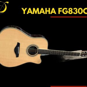 Guitar Yamaha FGX830