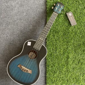 Ukulele Concert ANDREW Xanh