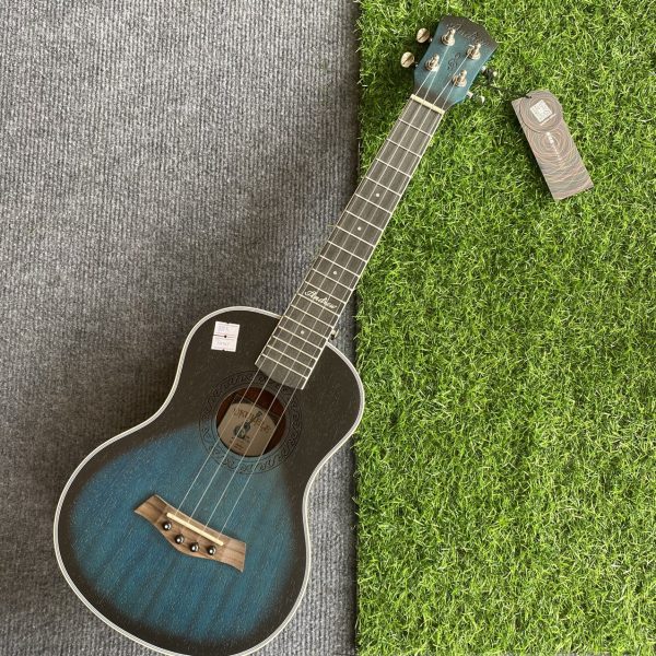 Ukulele Concert ANDREW Xanh