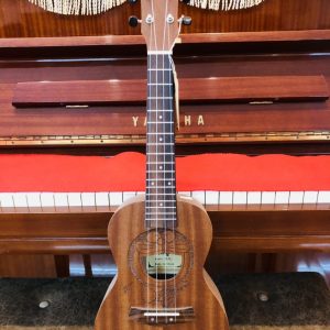 Ukulele Concert Doremon