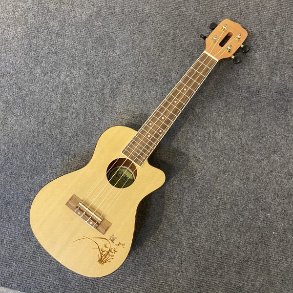 Ukulele Concert Hanknn khuyết
