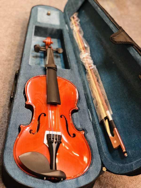 Violon gỗ thịt