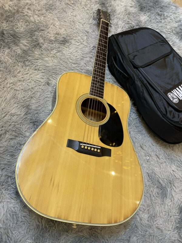 GUITAR MORIC W20