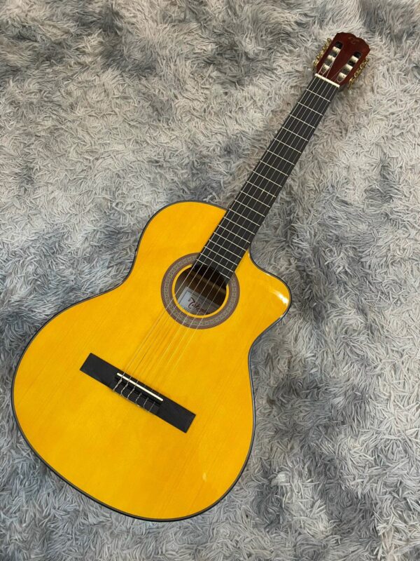 Guitar classic Takamine GC1CE